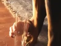 Bestiality lover drank a dog's cum